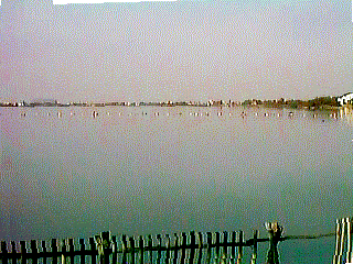 Pond