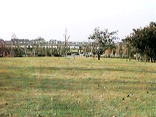 Lawn plaza