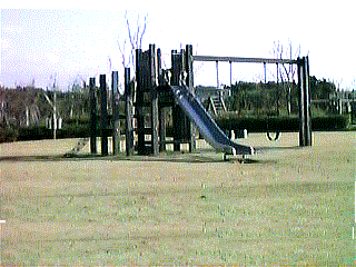 Athletic play tool