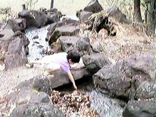 stream