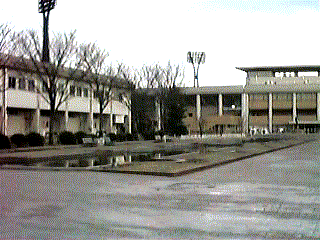 �摜