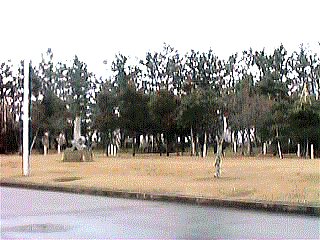 �摜