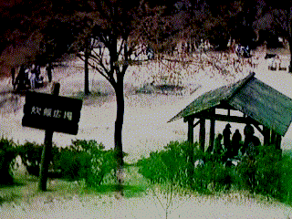 Barbecue plaza