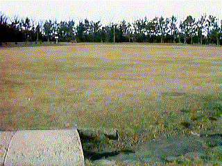 Lawn plaza