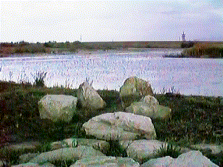 TEDORI river