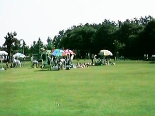 Lawn plaza