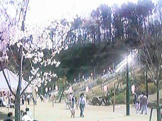 Plaza