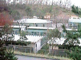 �쒹���̉摜