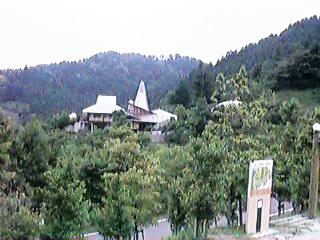 ����̌���