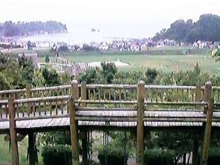 �C��������