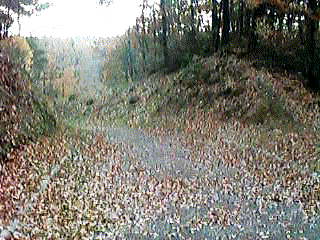 �X�̒��֑�����