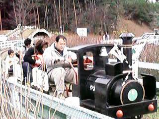 �T�C�N���g���C��