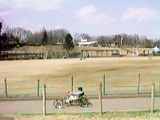 ���ړI�L��