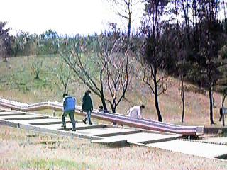 �������[���[�����