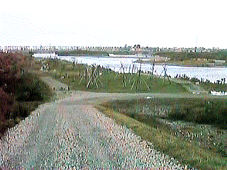 The left bank of a river