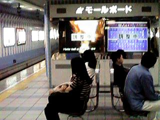 �Ǝ��̏��e���r