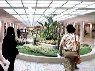 �n���X�̃n�[�u�̒�@�P