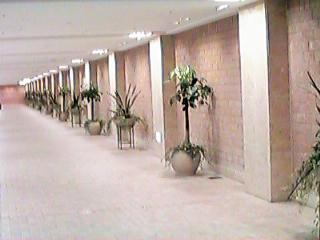 �n���X�̃n�[�u�̒�@�Q