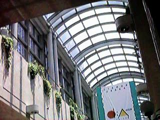 �n���X�ɑ傫�ȃg�b�v���C�g