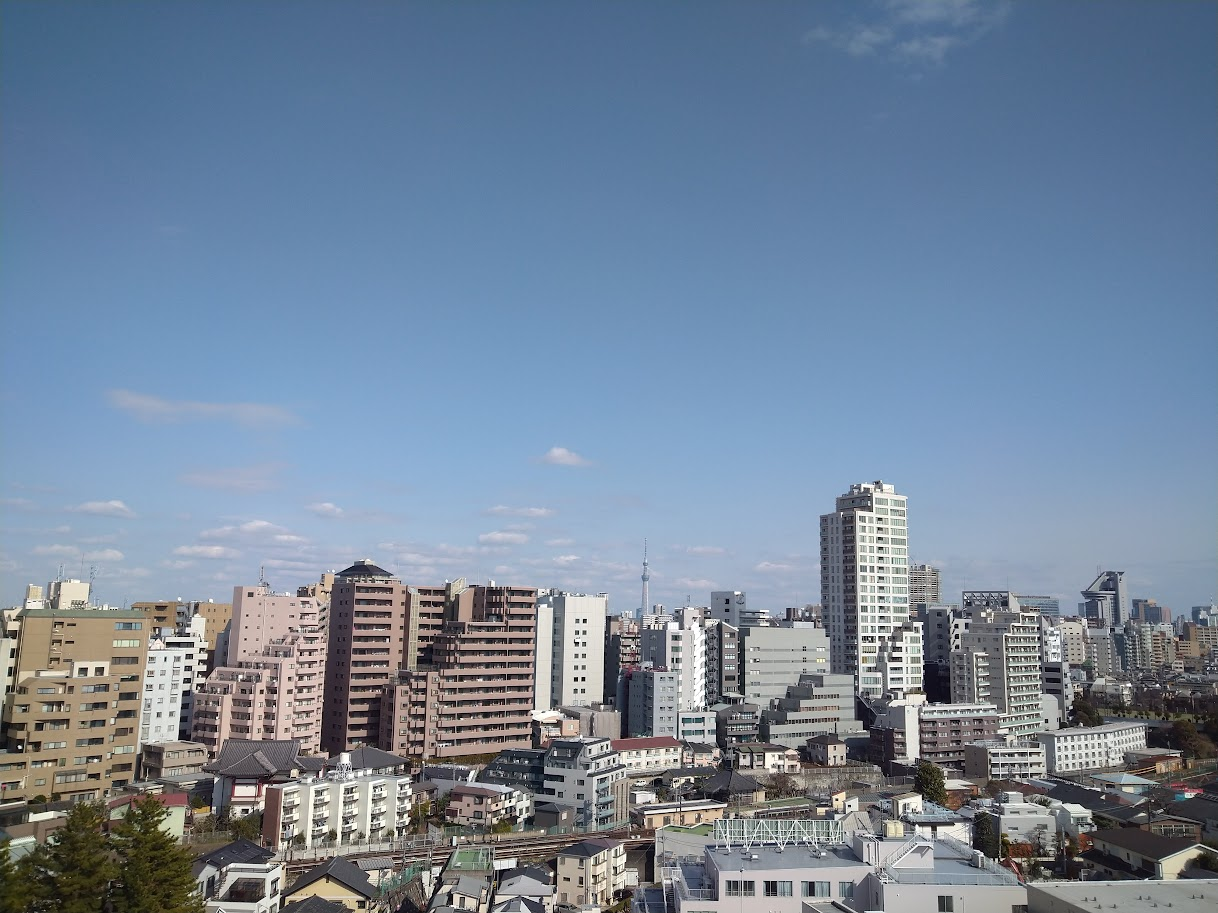 桜咲く風景